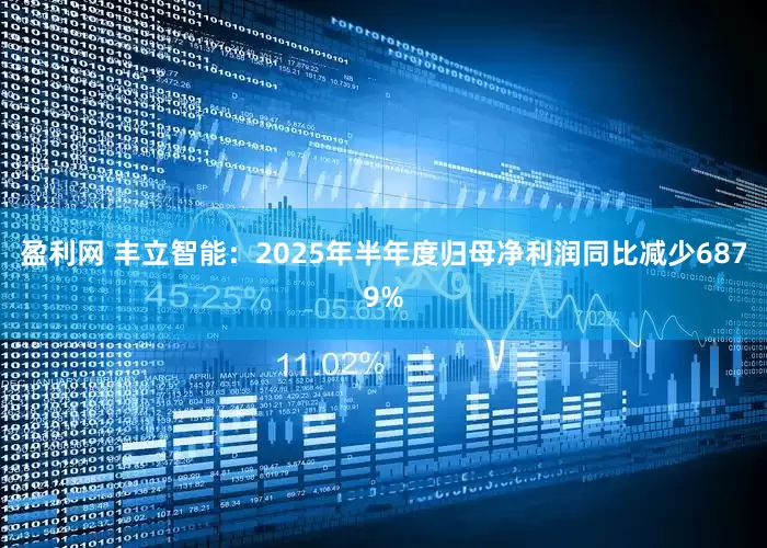 盈利网 丰立智能：2025年半年度归母净利润同比减少6879%