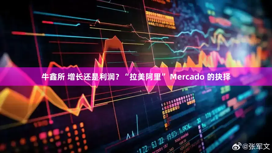 牛鑫所 增长还是利润？“拉美阿里” Mercado 的抉择